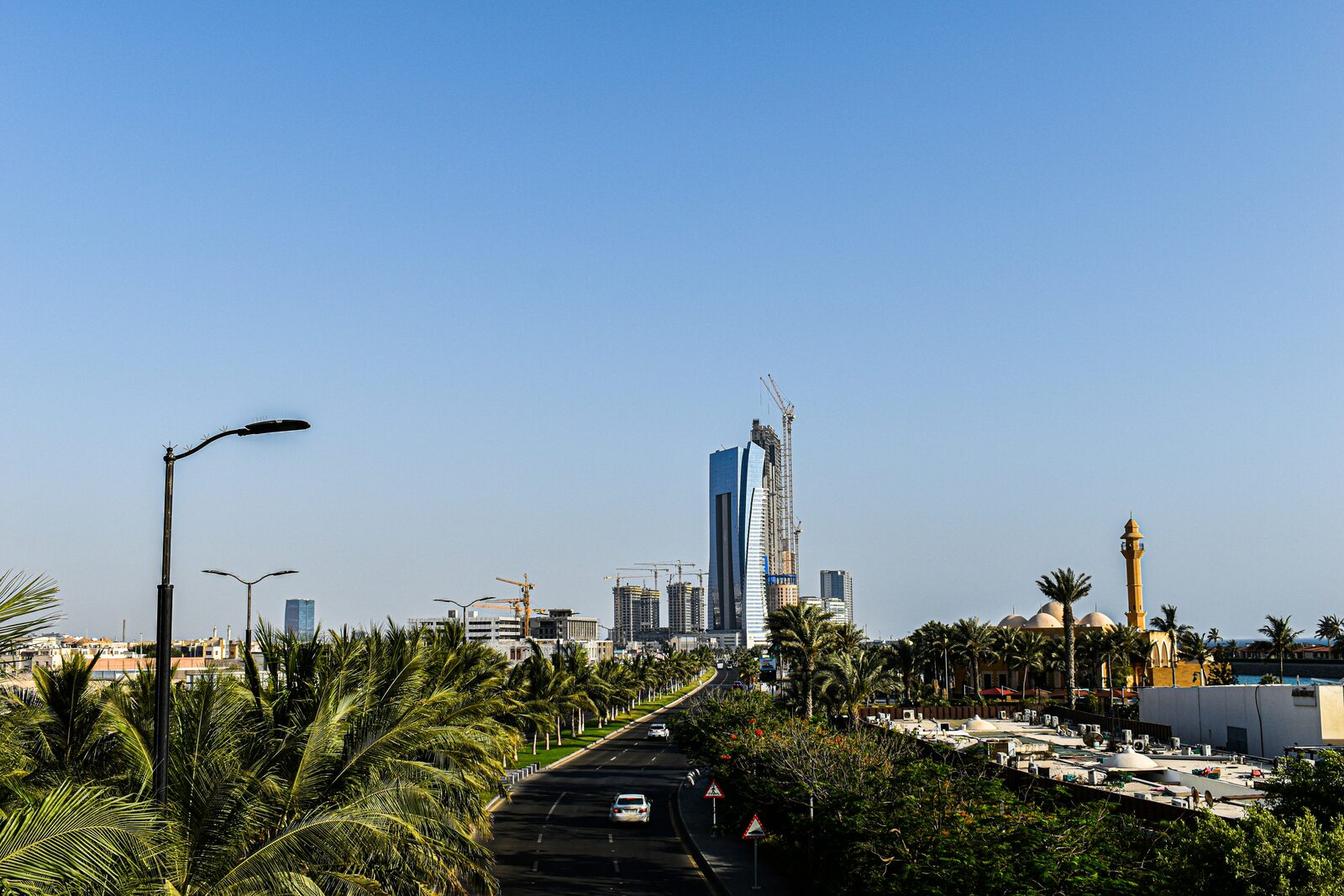 أفق مدينة جدة مع أشجار النخيل